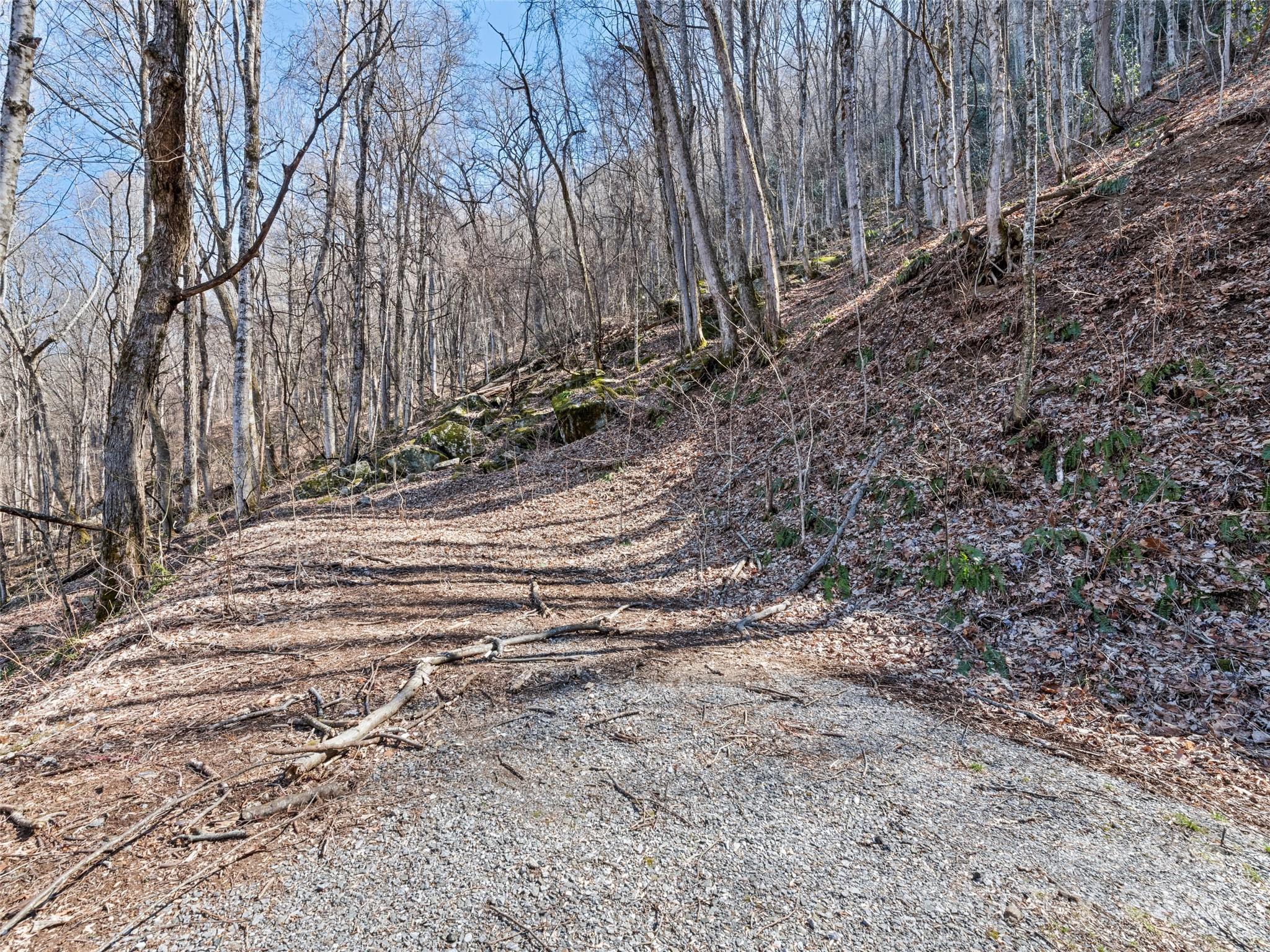 00 Apple Creek Road Waynesville NC 28786