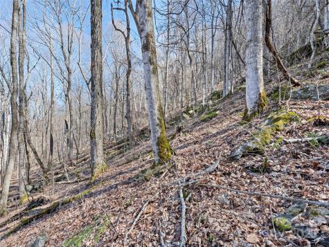 00 Apple Creek Road Waynesville NC 28786