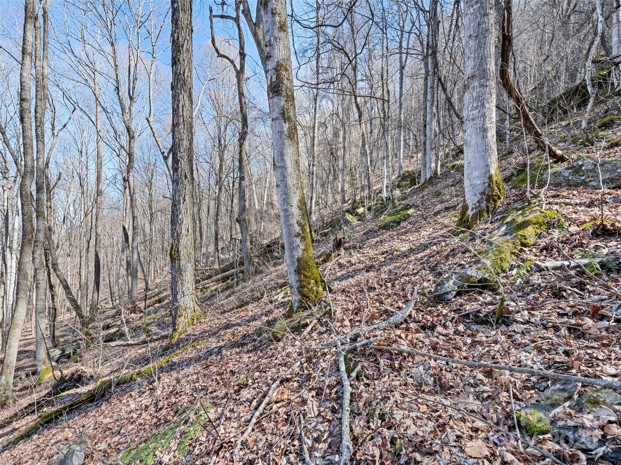 00 Apple Creek Road Waynesville NC 28786