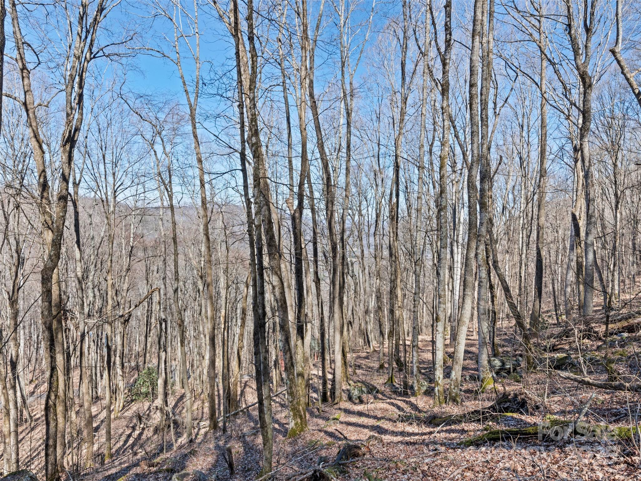 00 Apple Creek Road Waynesville NC 28786