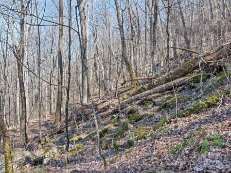 00 Apple Creek Road Waynesville NC 28786