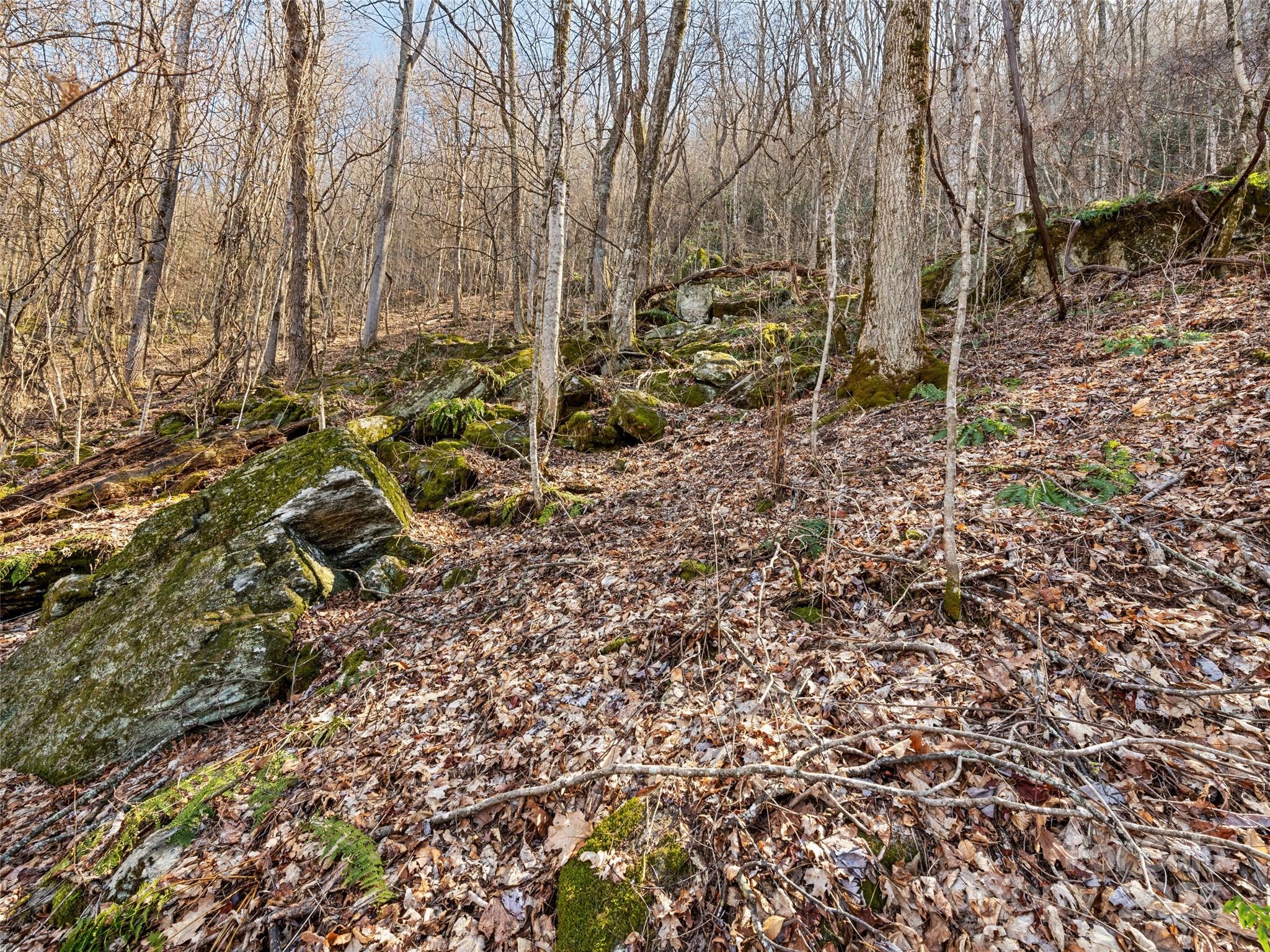 00 Apple Creek Road Waynesville NC 28786