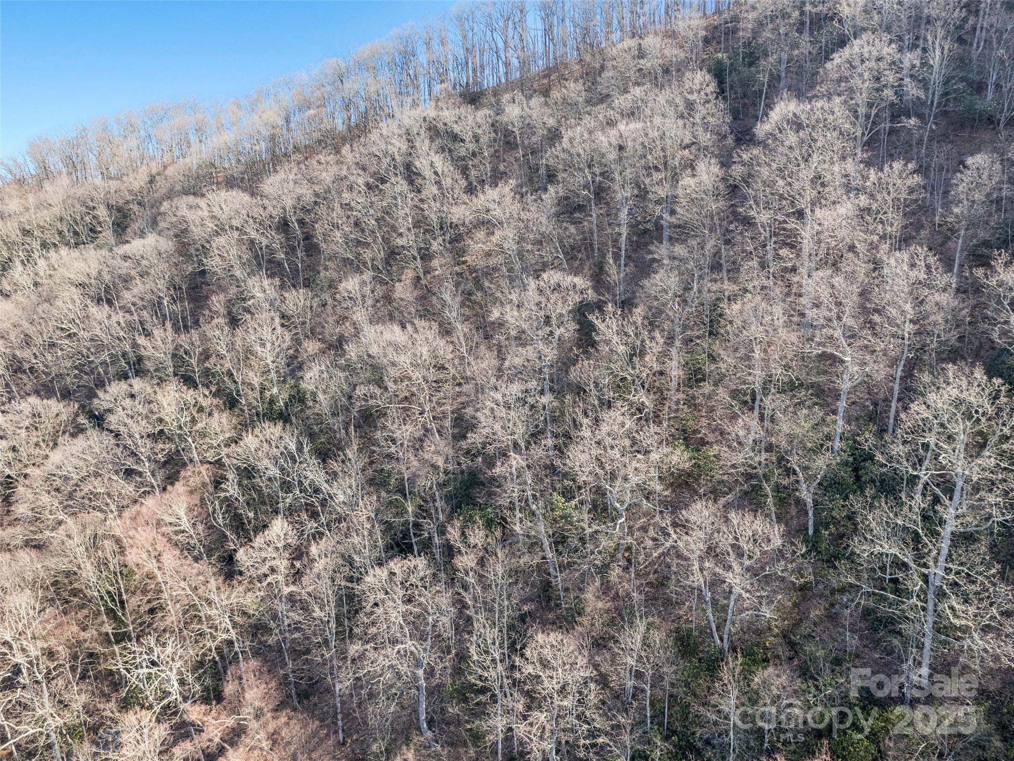 00 Apple Creek Road Waynesville NC 28786