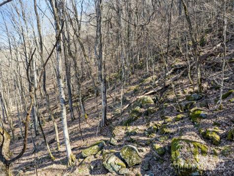 00 Apple Creek Road Waynesville NC 28786