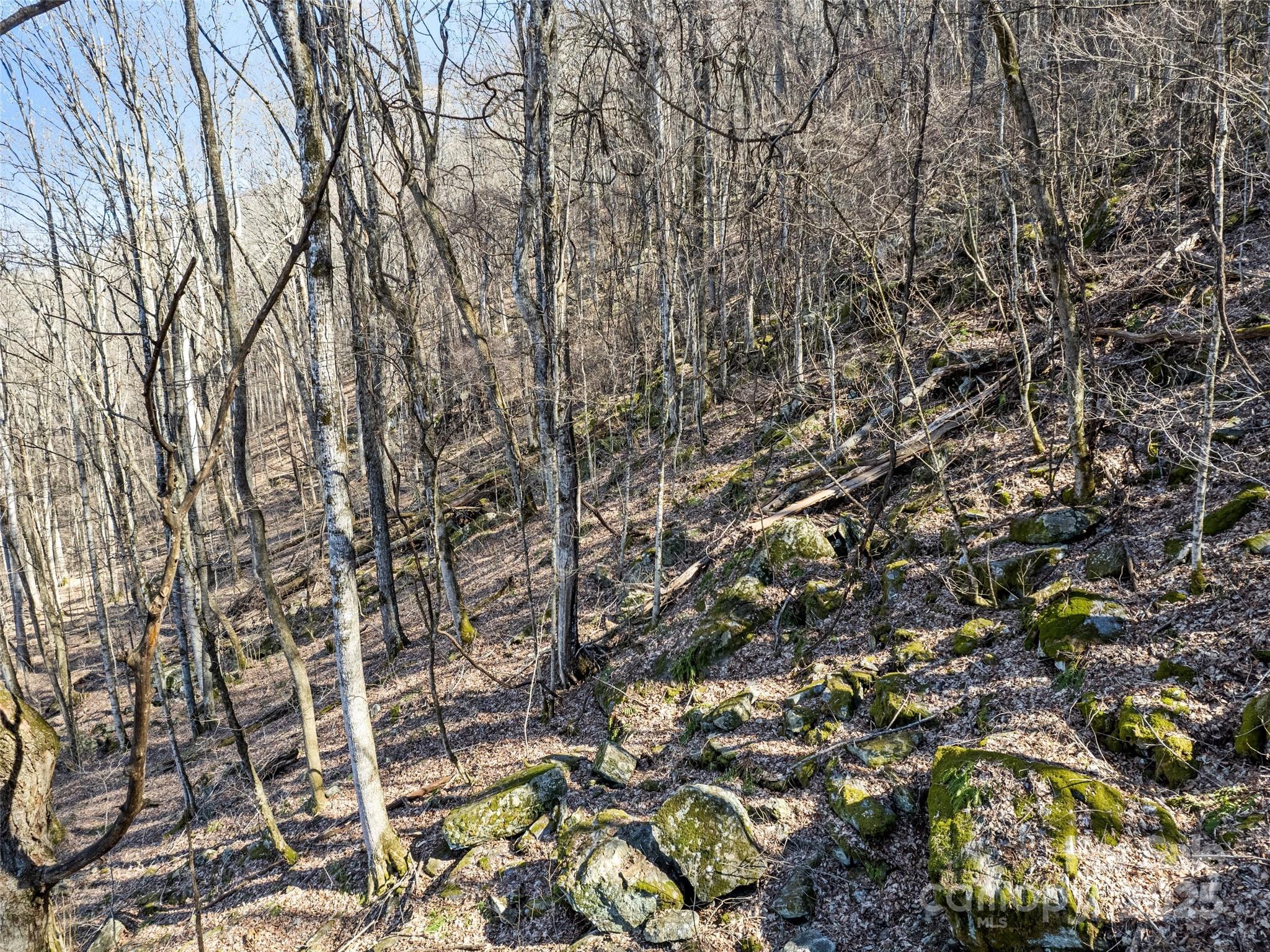 00 Apple Creek Road Waynesville NC 28786