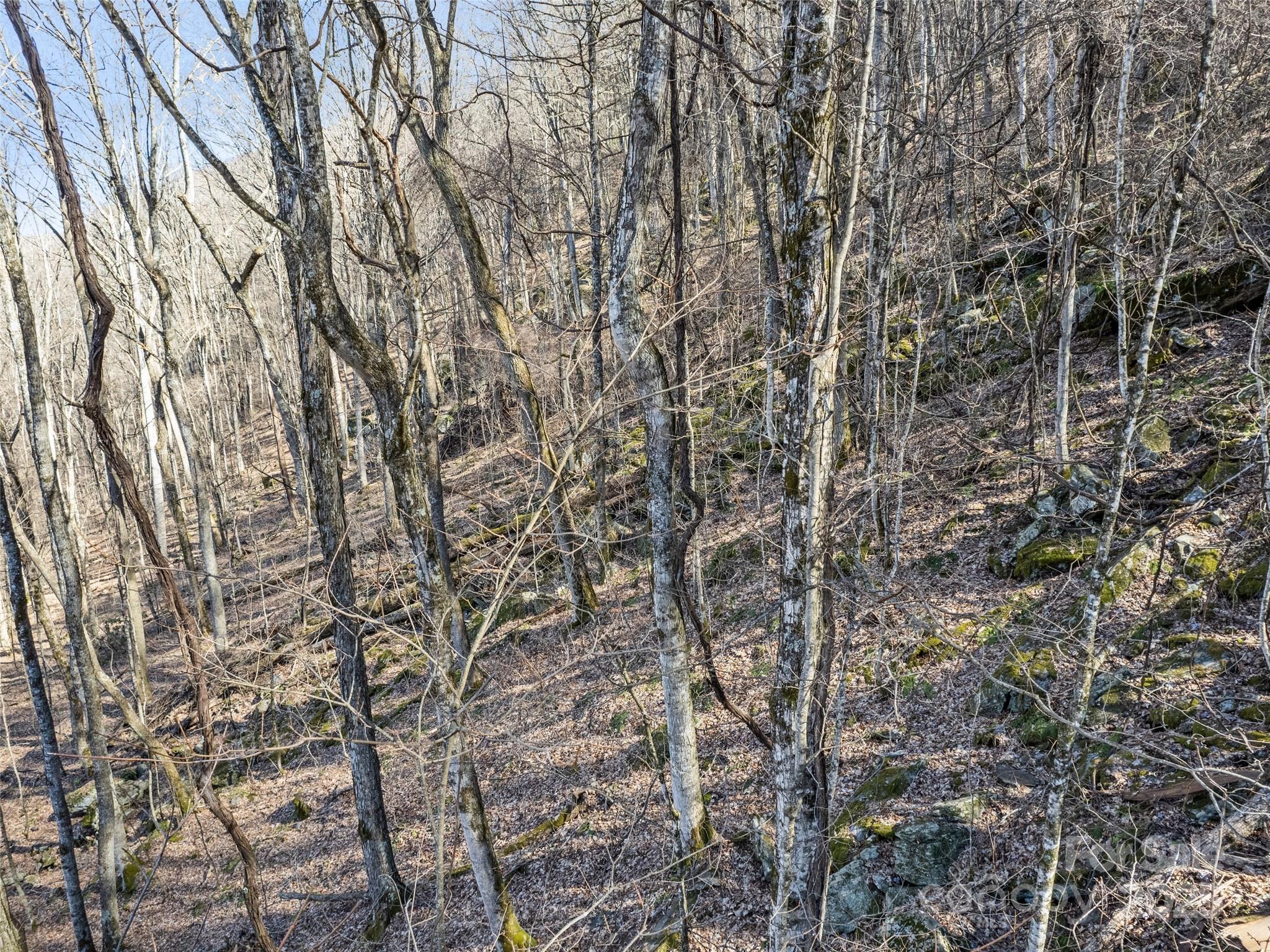 00 Apple Creek Road Waynesville NC 28786