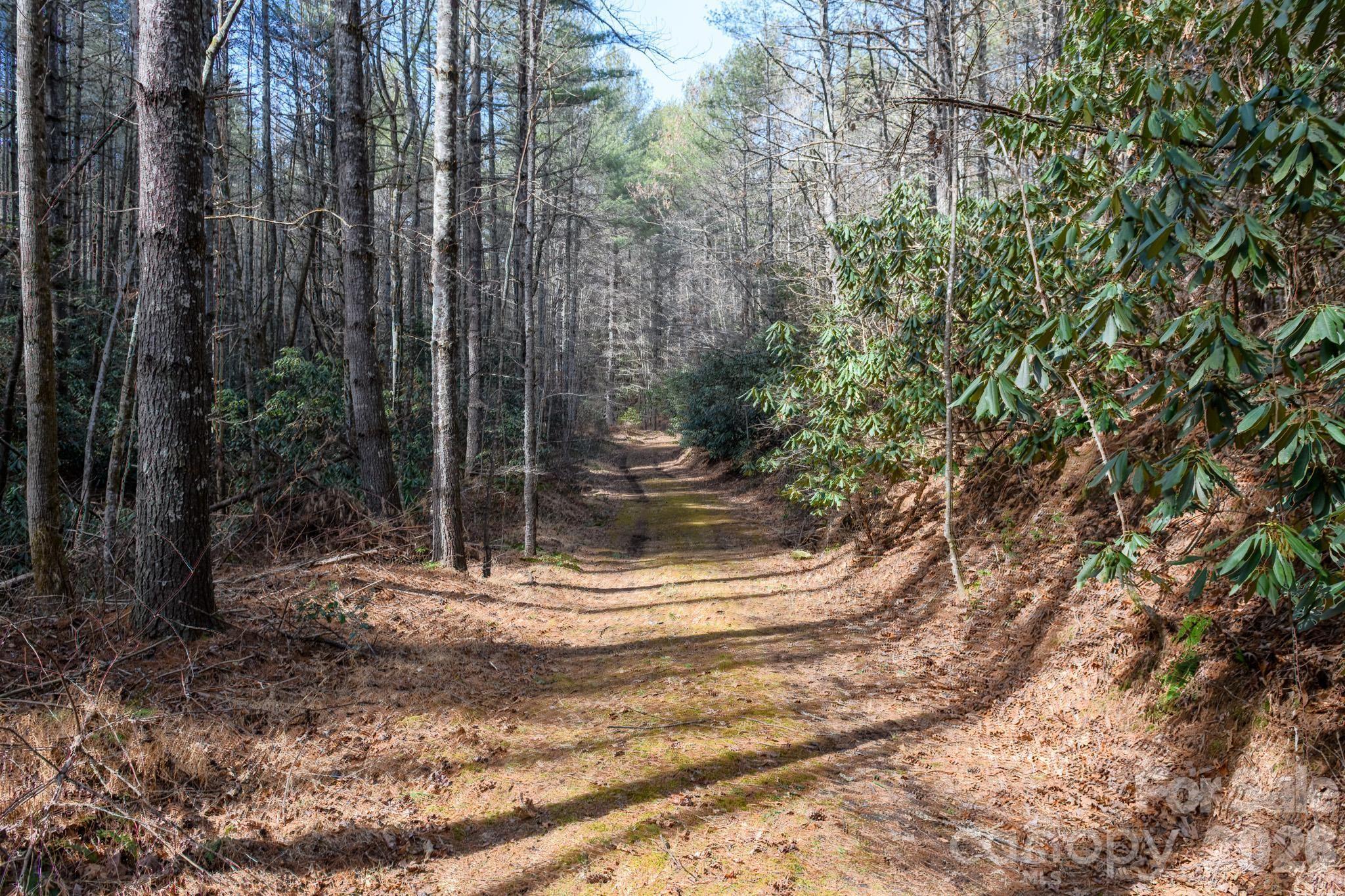 000 Narrow Gauge Drive Collettsville NC 28611