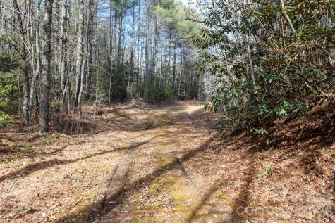 000 Narrow Gauge Drive Collettsville NC 28611