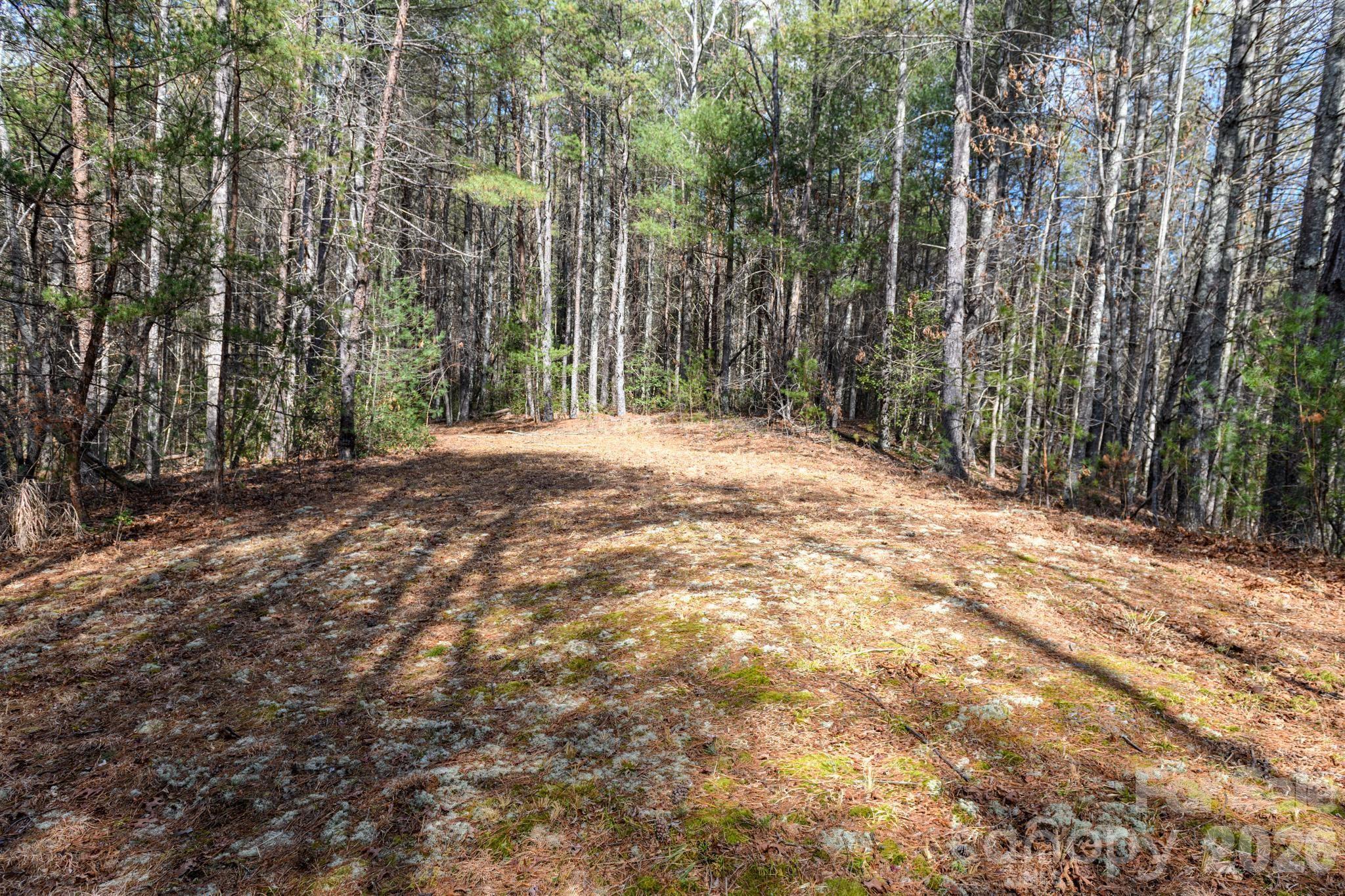000 Narrow Gauge Drive Collettsville NC 28611