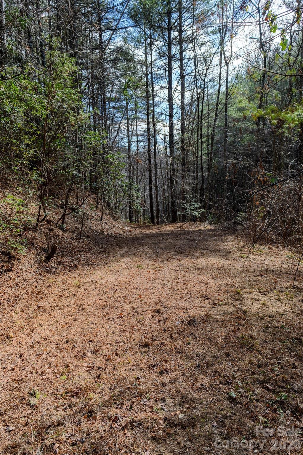 000 Narrow Gauge Drive Collettsville NC 28611