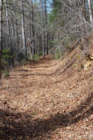 000 Narrow Gauge Drive Collettsville NC 28611