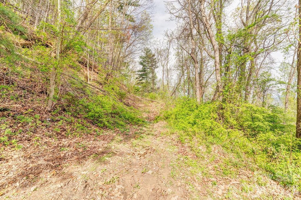 99999 Leisure Mountain Road Asheville NC 28804