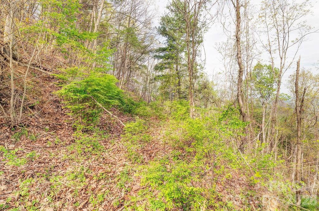 99999 Leisure Mountain Road Asheville NC 28804