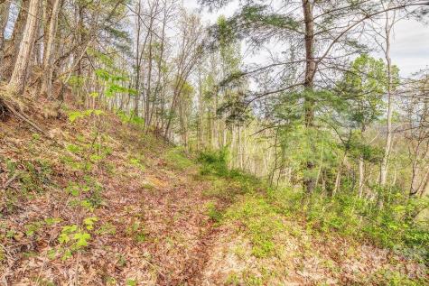 99999 Leisure Mountain Road Asheville NC 28804