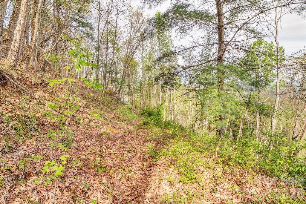 99999 Leisure Mountain Road Asheville NC 28804
