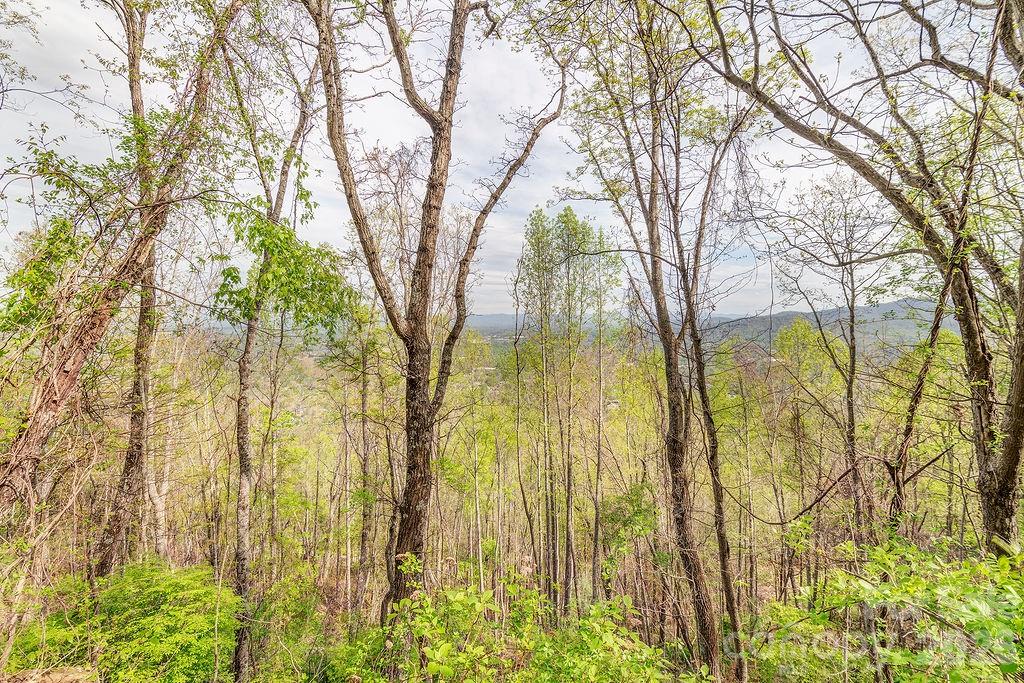 99999 Leisure Mountain Road Asheville NC 28804