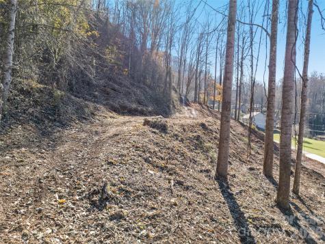 Tract 2: Lot 3 Fisher Creek Road Sylva NC 28779