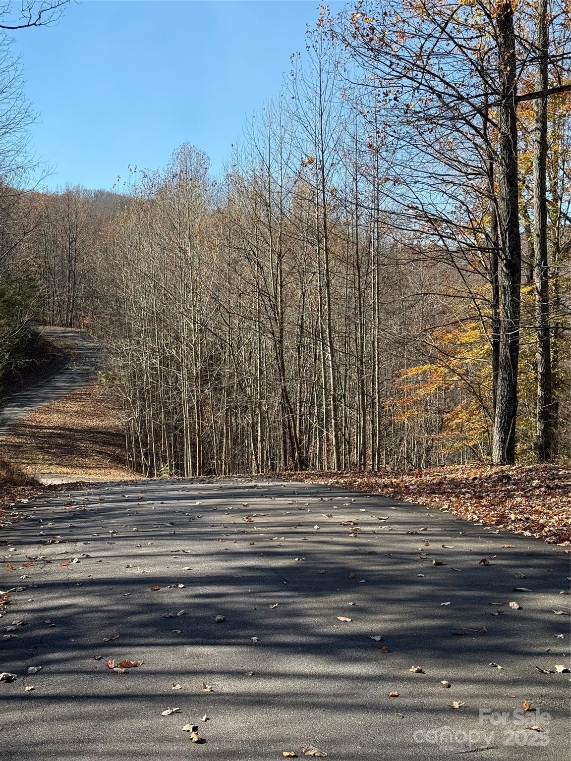 V/l Lot 72 & 170 Black Lark Drive Marion NC 28752