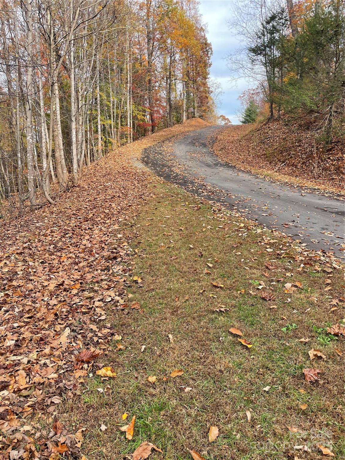 V/l Lot 72 & 170 Black Lark Drive Marion NC 28752