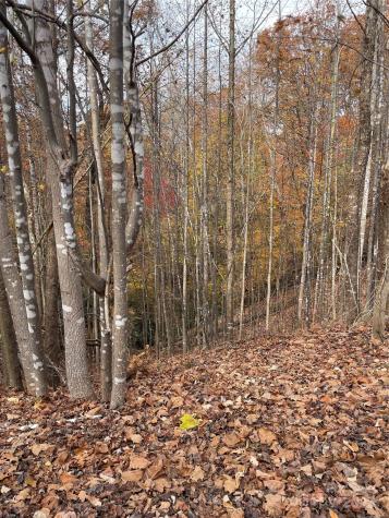 V/l Lot 72 & 170 Black Lark Drive Marion NC 28752