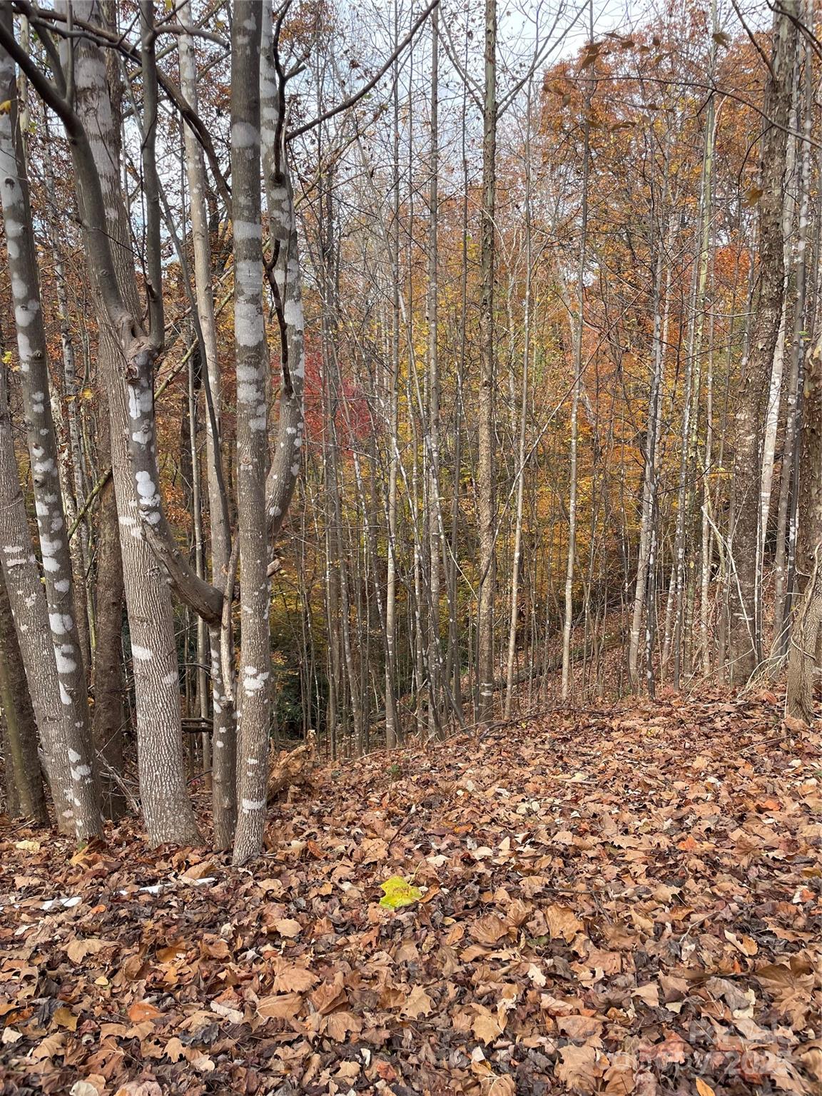 V/l Lot 72 & 170 Black Lark Drive Marion NC 28752