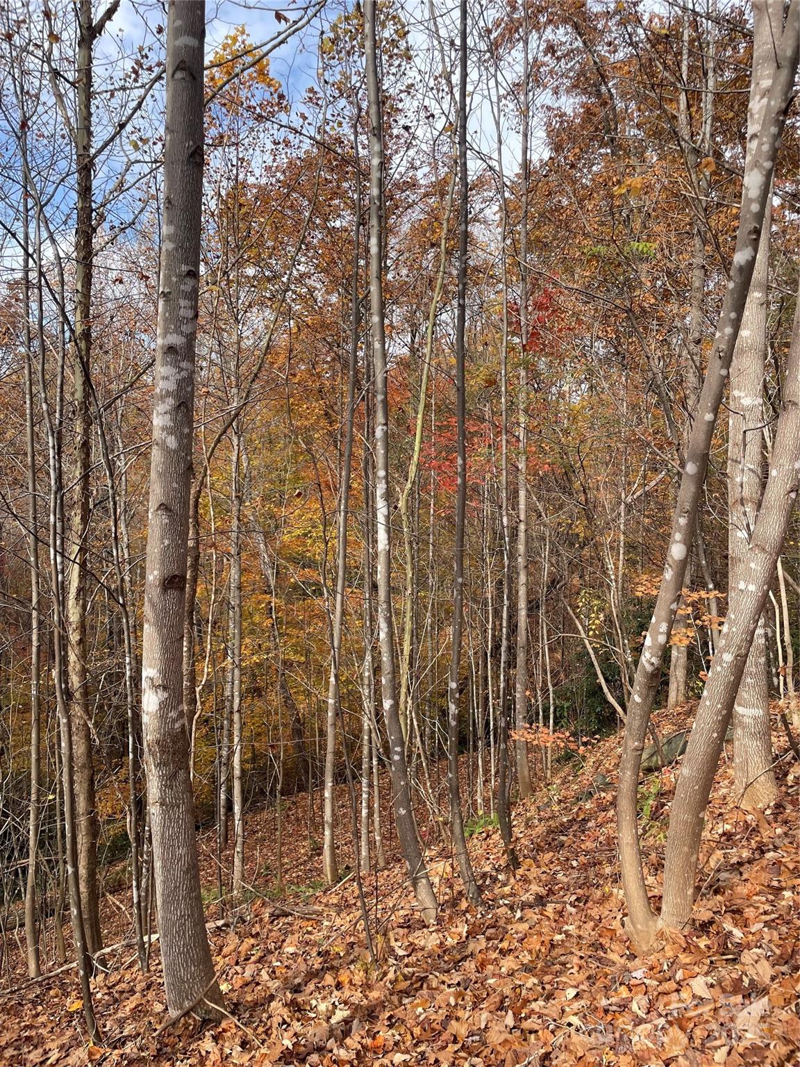 V/l Lot 72 & 170 Black Lark Drive Marion NC 28752