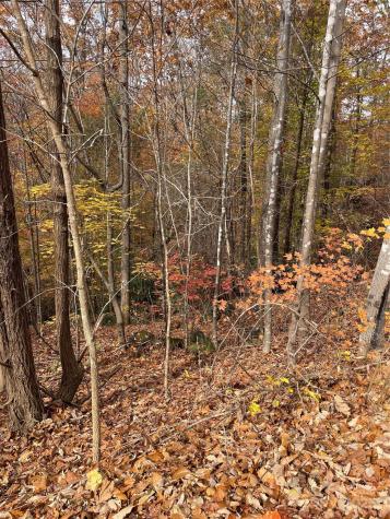 V/l Lot 72 & 170 Black Lark Drive Marion NC 28752