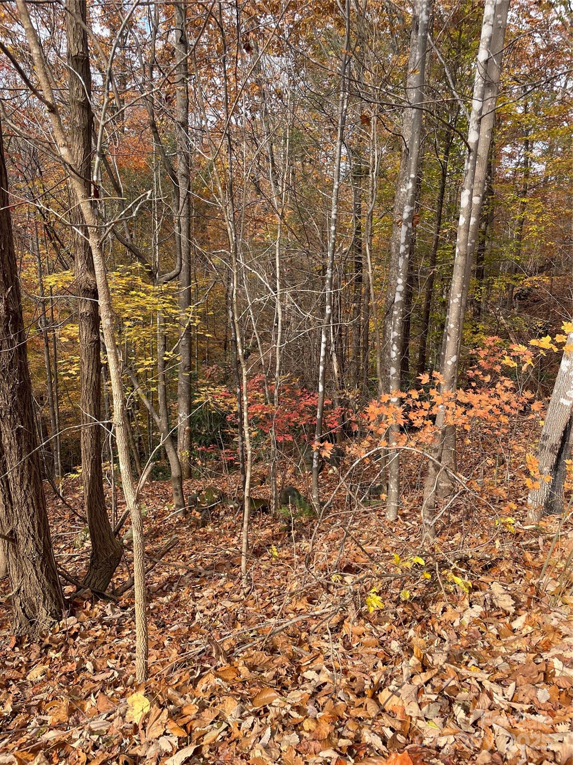 V/l Lot 72 & 170 Black Lark Drive Marion NC 28752