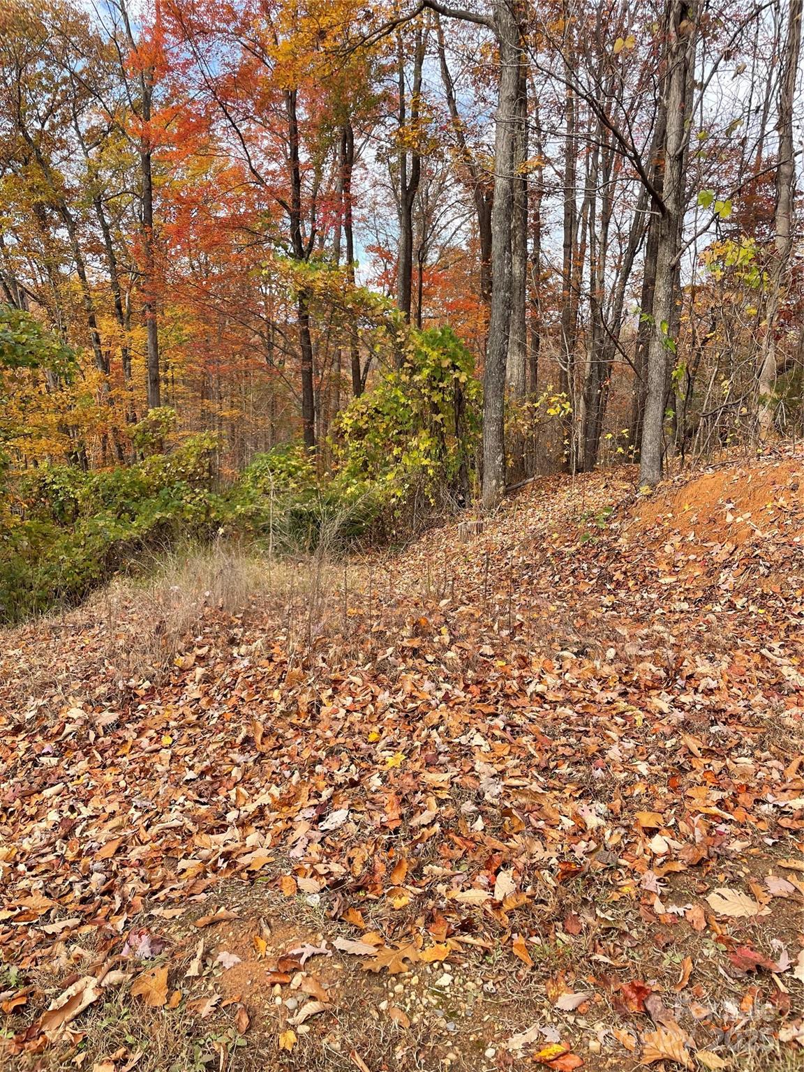 V/l Lot 72 & 170 Black Lark Drive Marion NC 28752