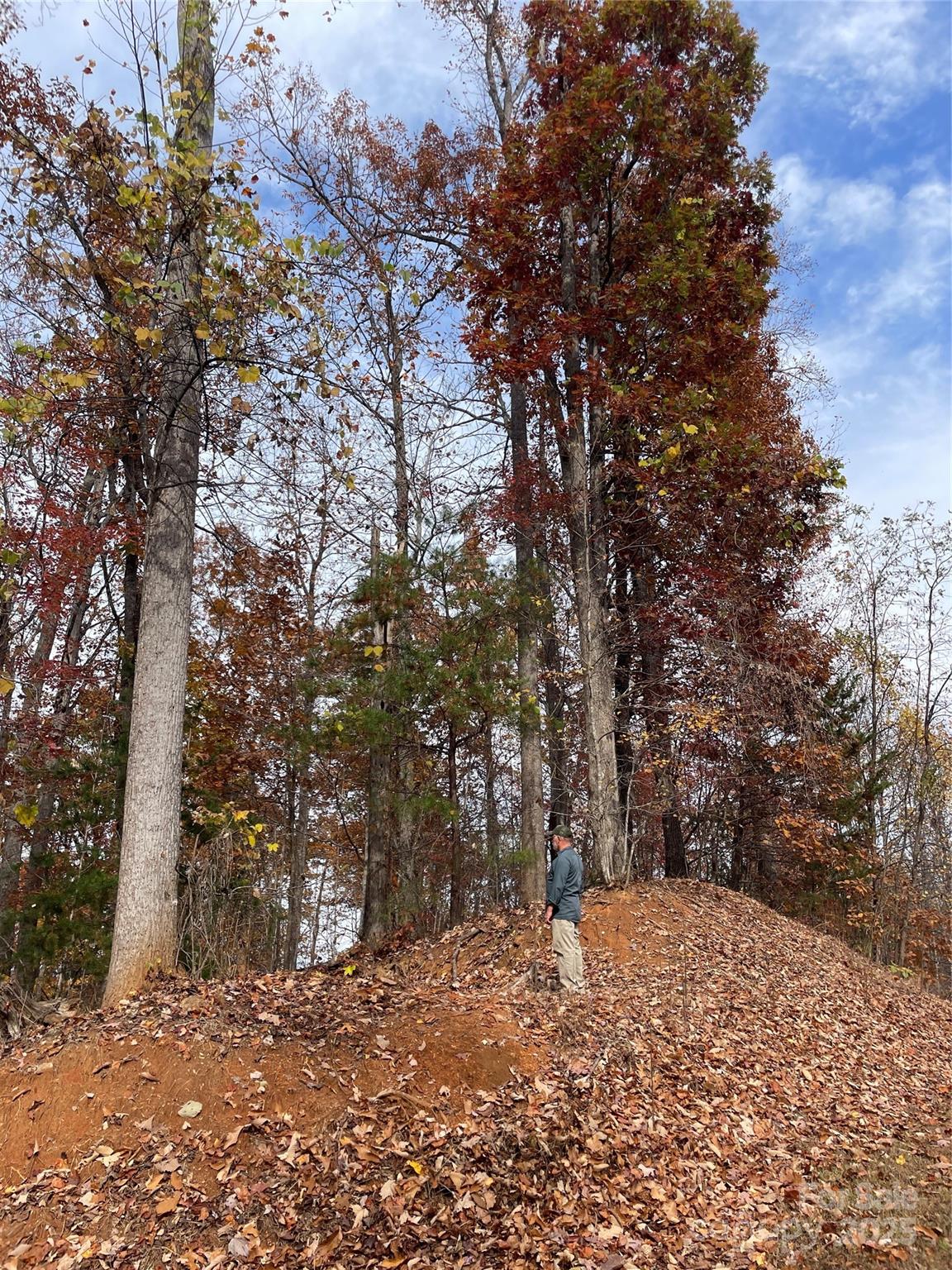 V/l Lot 72 & 170 Black Lark Drive Marion NC 28752