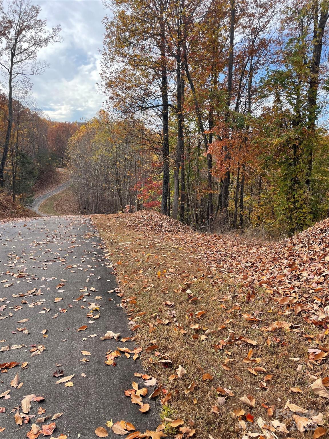 V/l Lot 72 & 170 Black Lark Drive Marion NC 28752