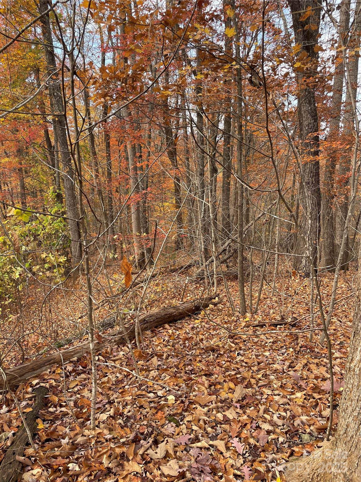 V/l Lot 72 & 170 Black Lark Drive Marion NC 28752