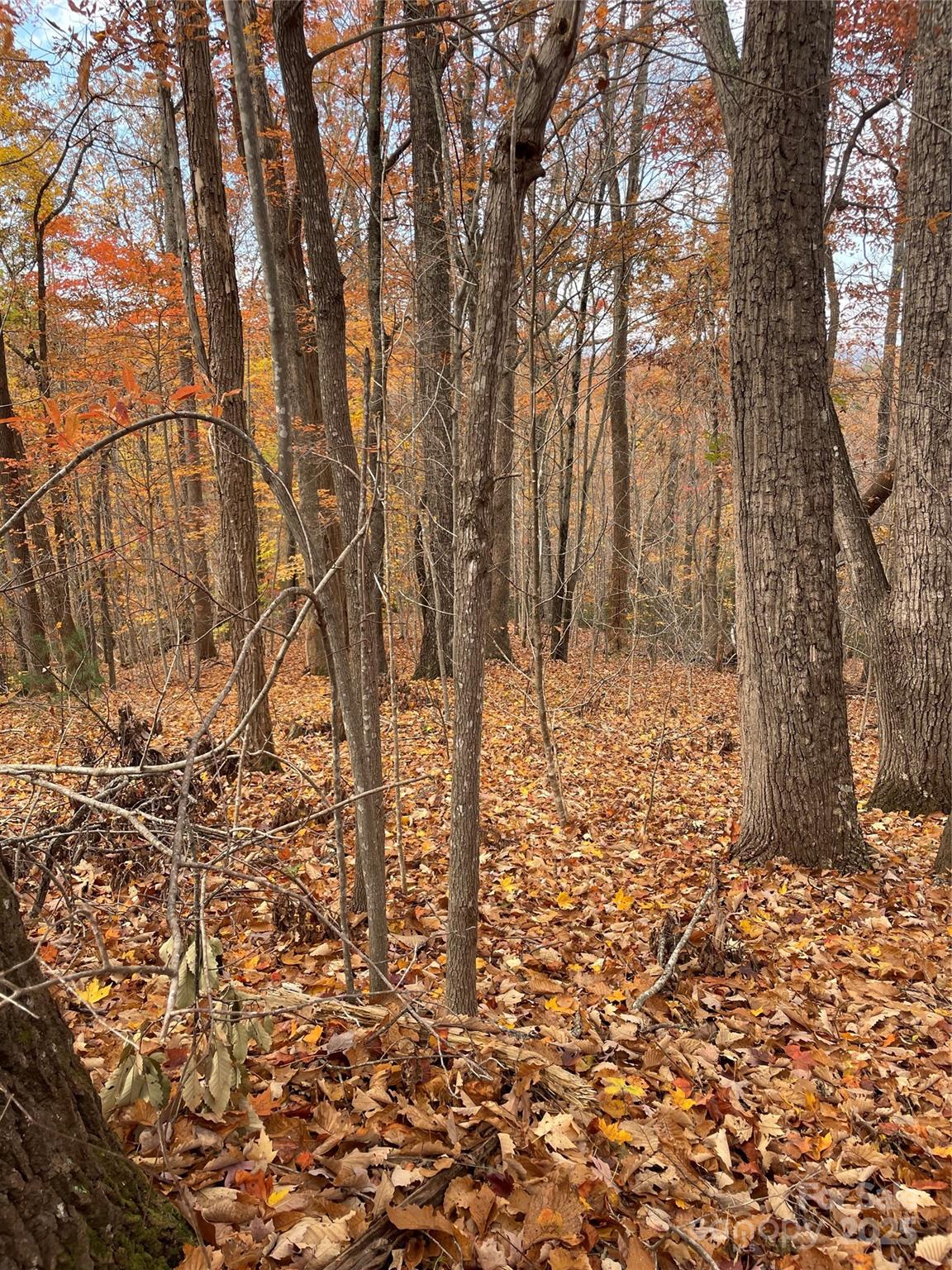 V/l Lot 72 & 170 Black Lark Drive Marion NC 28752