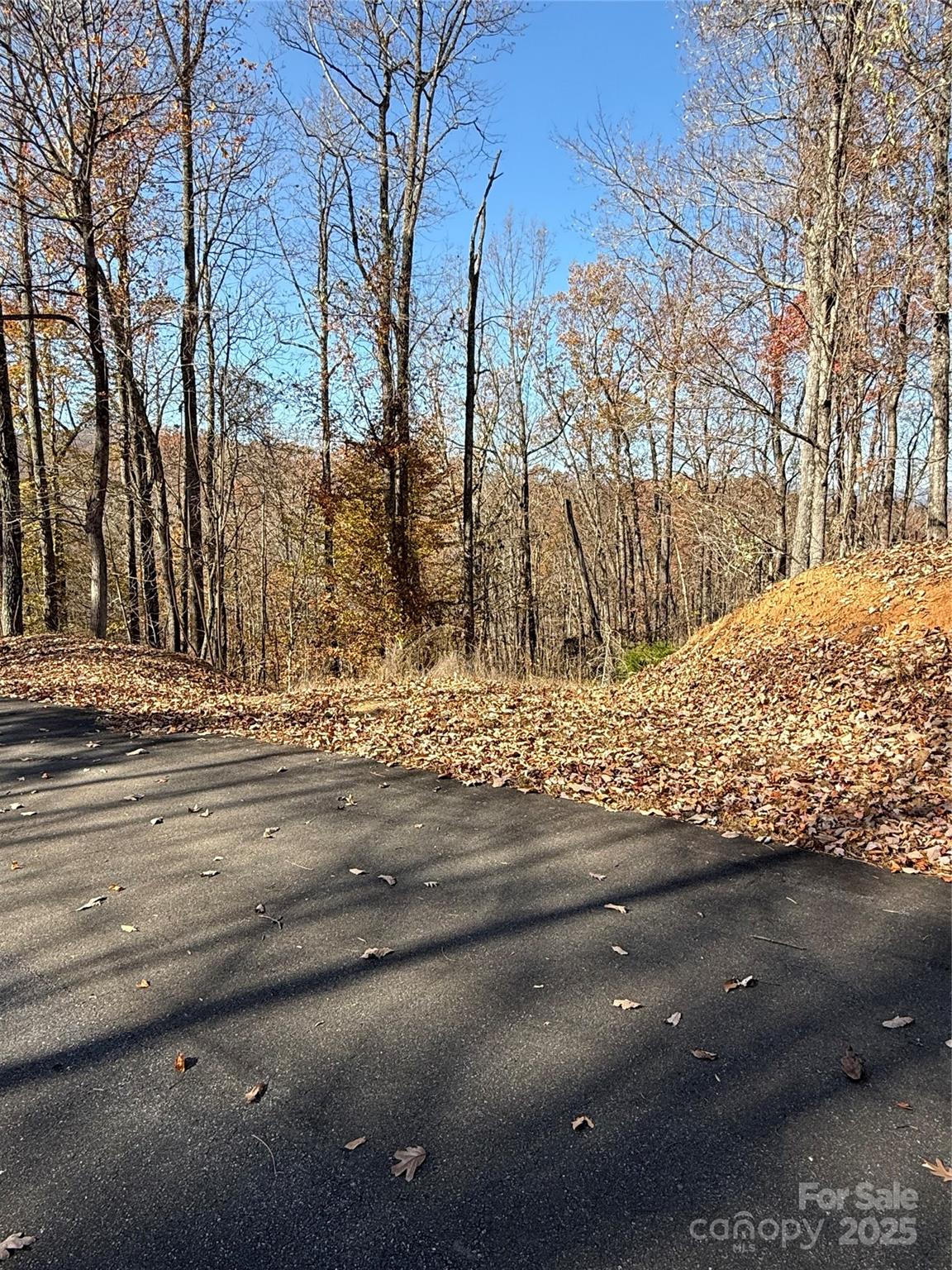 V/l Lot 72 & 170 Black Lark Drive Marion NC 28752