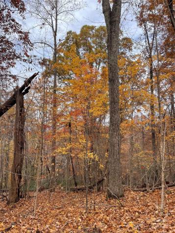 V/l Lot 72 & 170 Black Lark Drive Marion NC 28752