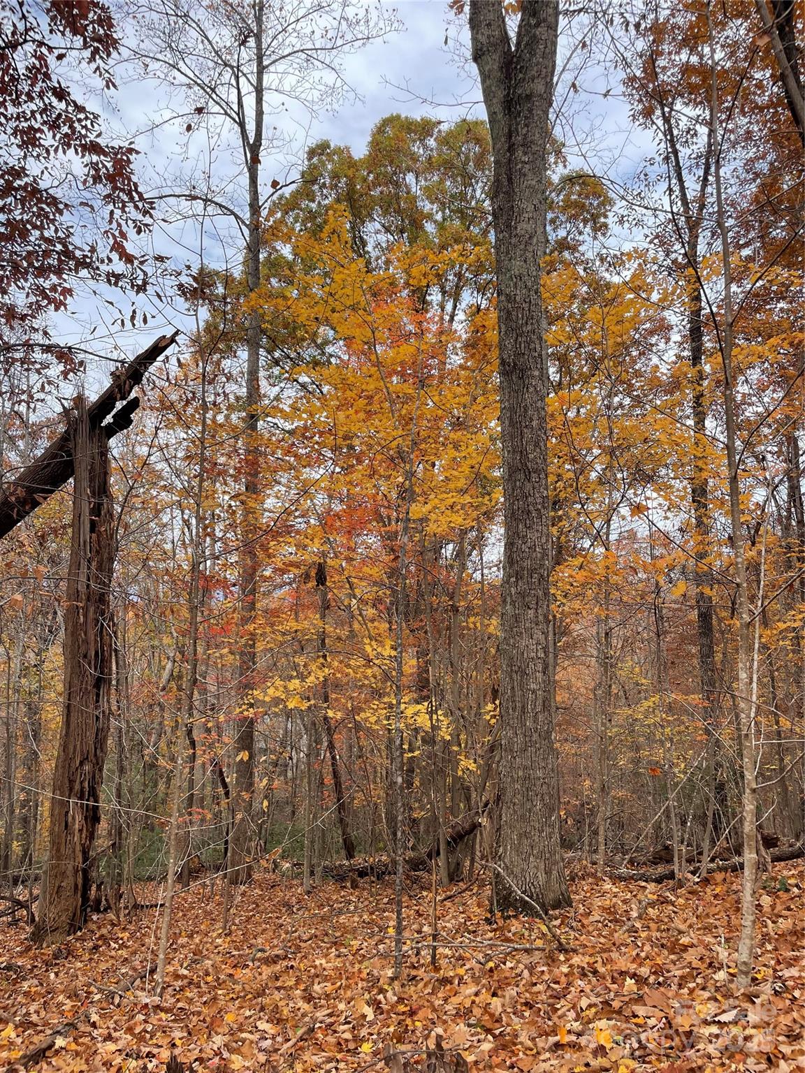 V/l Lot 72 & 170 Black Lark Drive Marion NC 28752