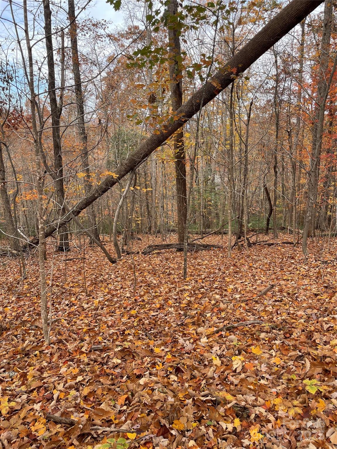 V/l Lot 72 & 170 Black Lark Drive Marion NC 28752