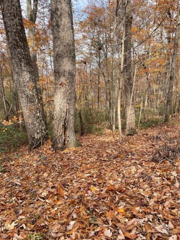 V/l Lot 72 & 170 Black Lark Drive Marion NC 28752