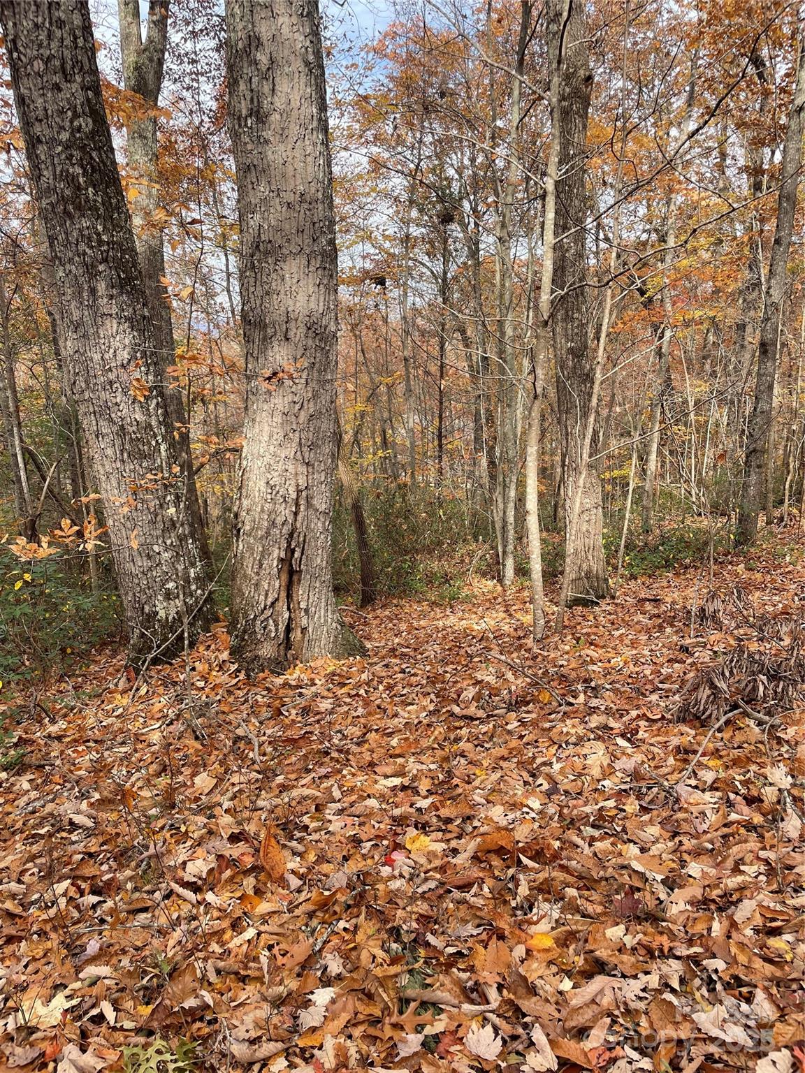 V/l Lot 72 & 170 Black Lark Drive Marion NC 28752