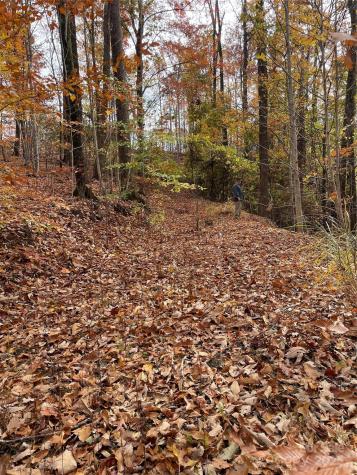V/l Lot 72 & 170 Black Lark Drive Marion NC 28752