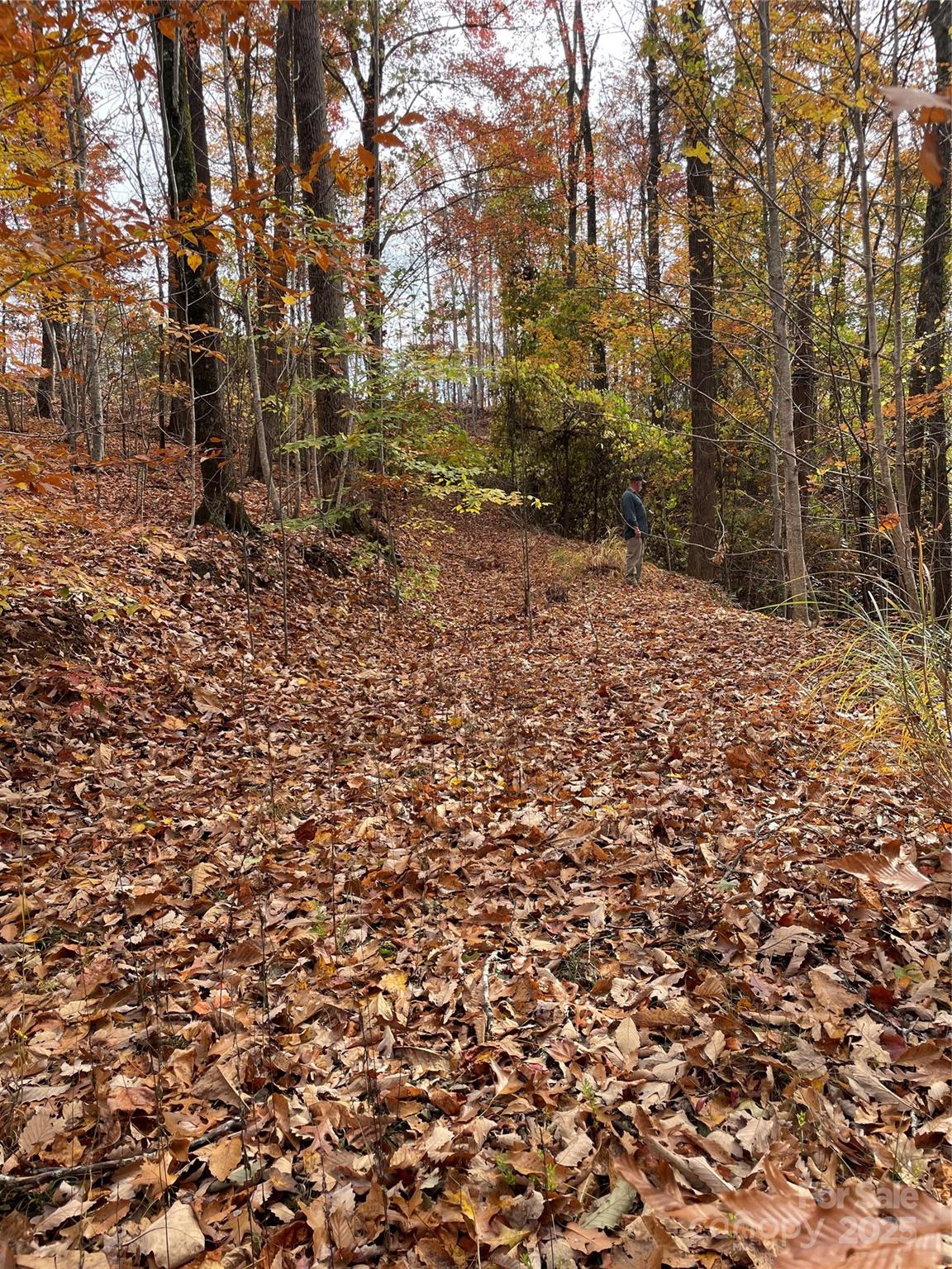 V/l Lot 72 & 170 Black Lark Drive Marion NC 28752