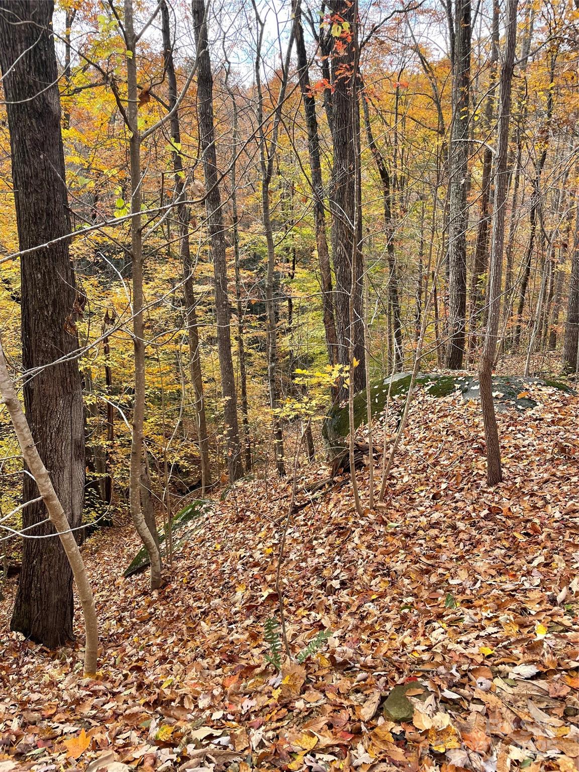 V/l Lot 72 & 170 Black Lark Drive Marion NC 28752