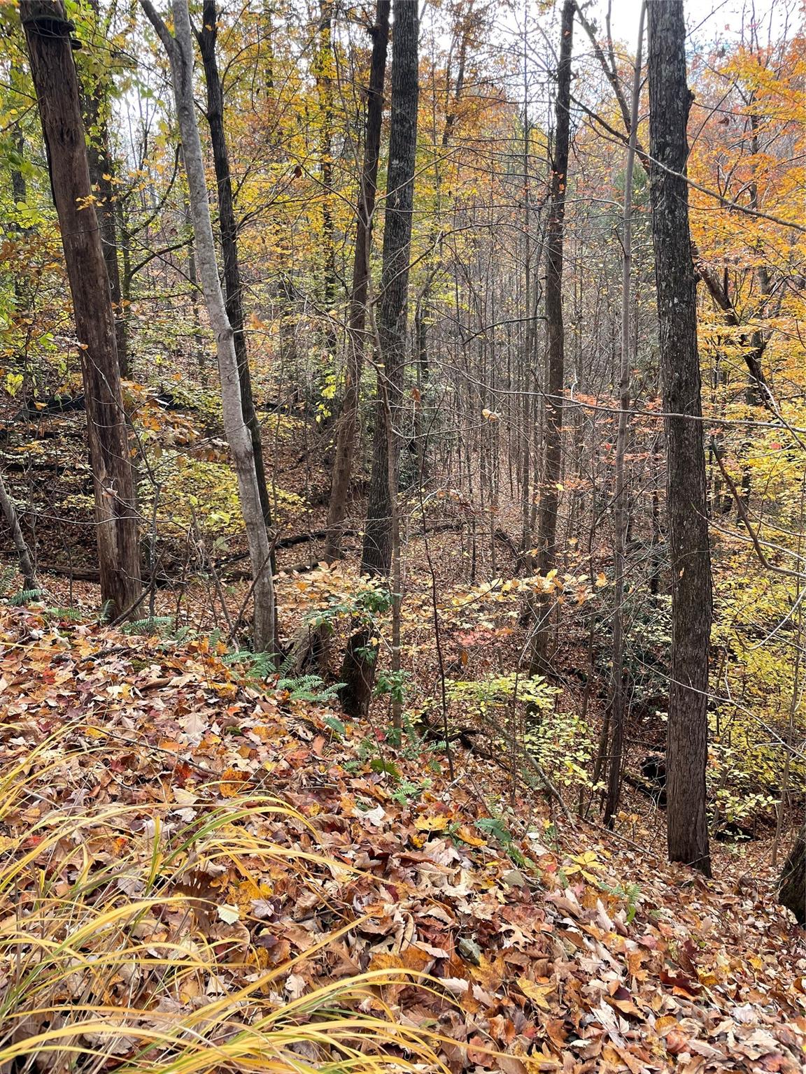 V/l Lot 72 & 170 Black Lark Drive Marion NC 28752
