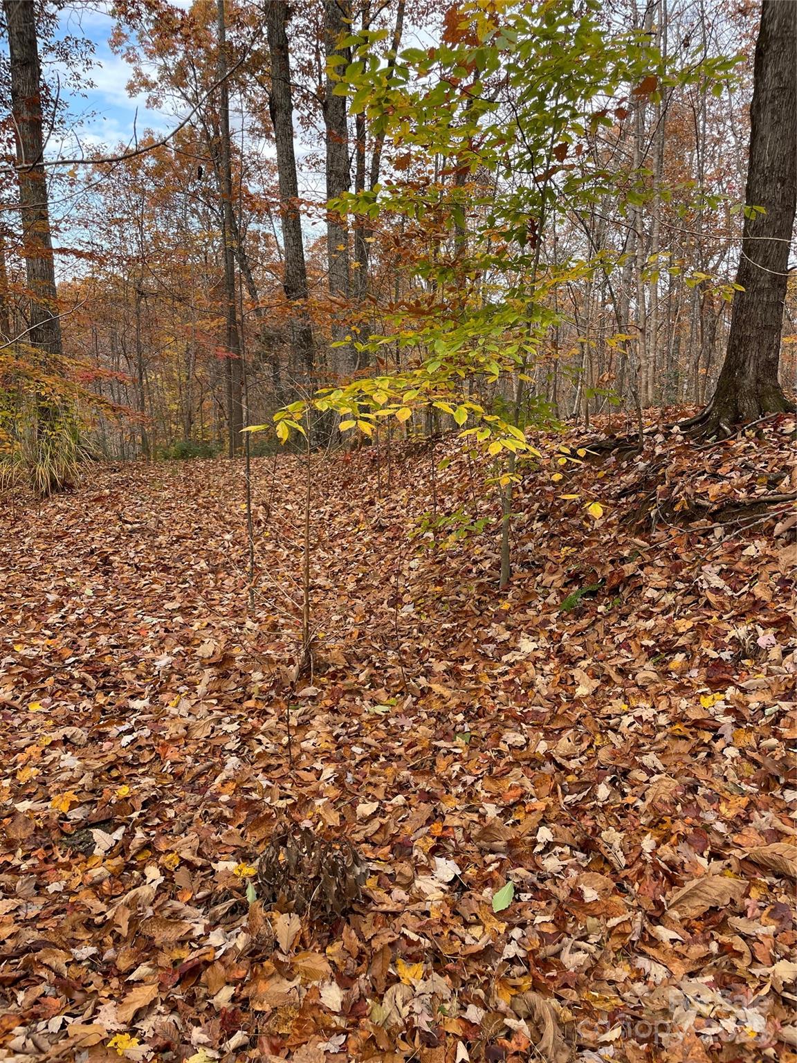 V/l Lot 72 & 170 Black Lark Drive Marion NC 28752