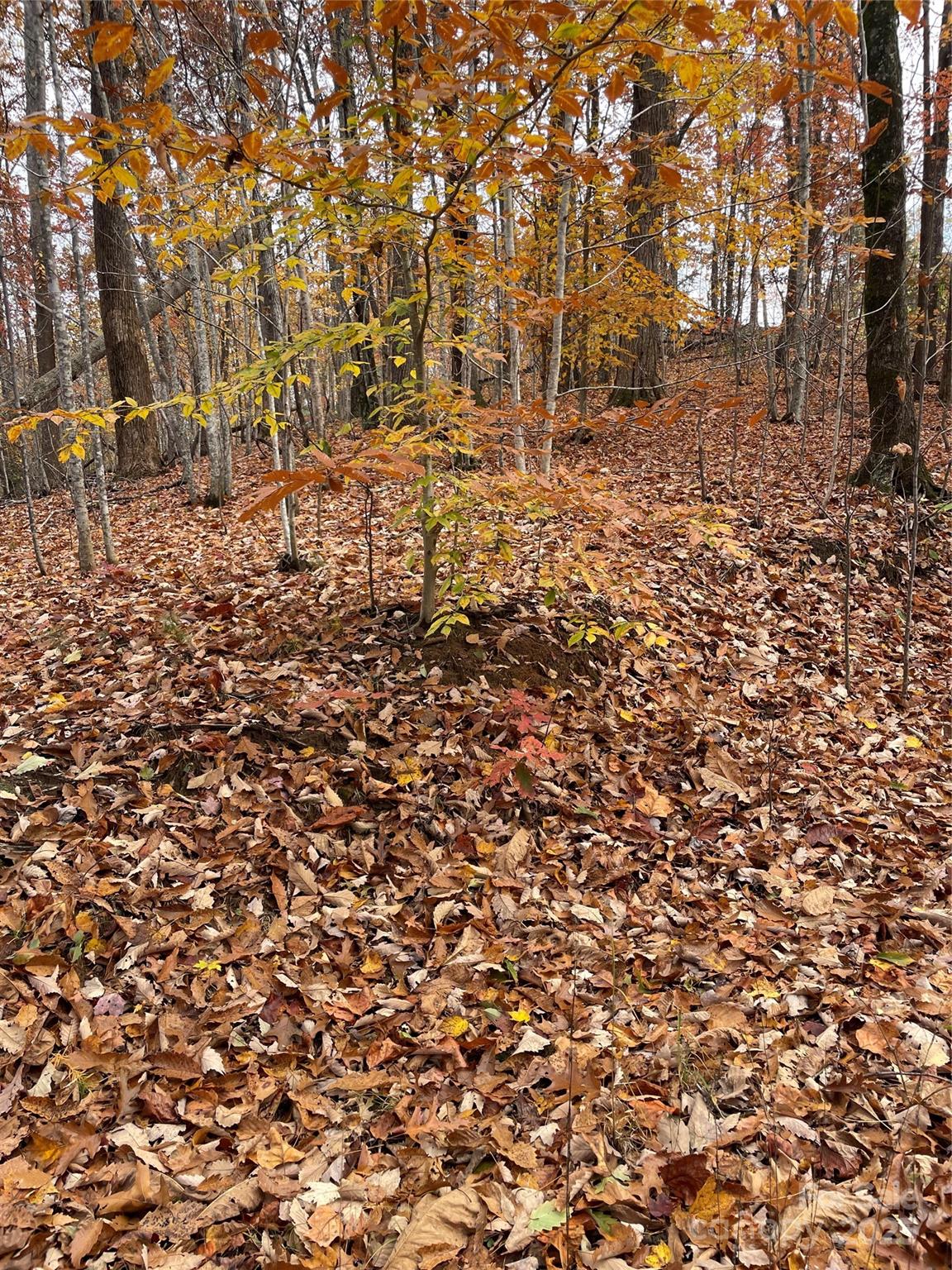 V/l Lot 72 & 170 Black Lark Drive Marion NC 28752