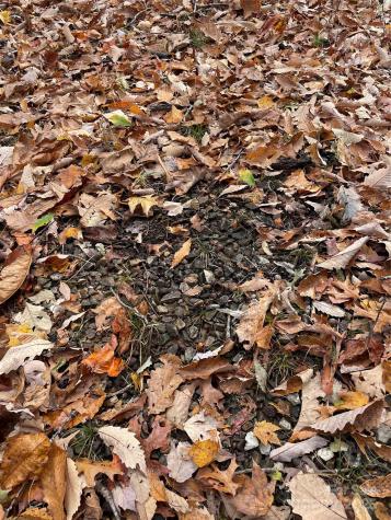 V/l Lot 72 & 170 Black Lark Drive Marion NC 28752