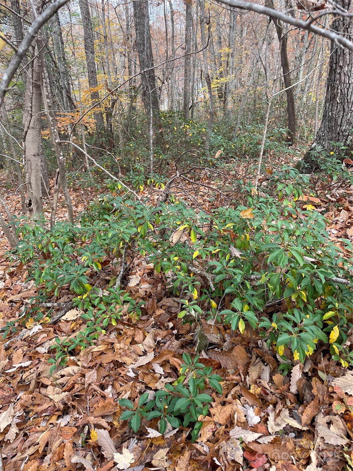 V/l Lot 72 & 170 Black Lark Drive Marion NC 28752