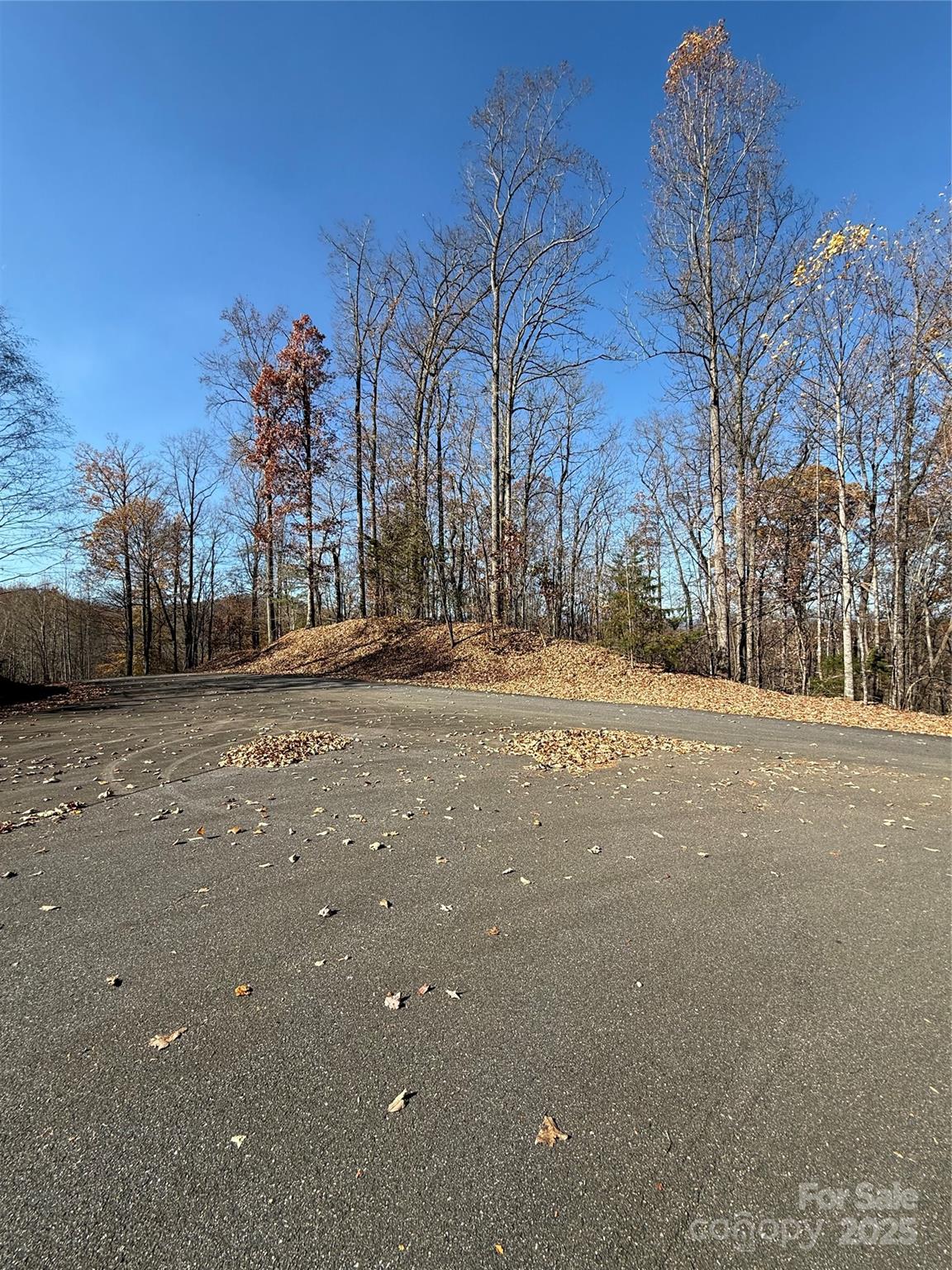 V/l Lot 72 & 170 Black Lark Drive Marion NC 28752