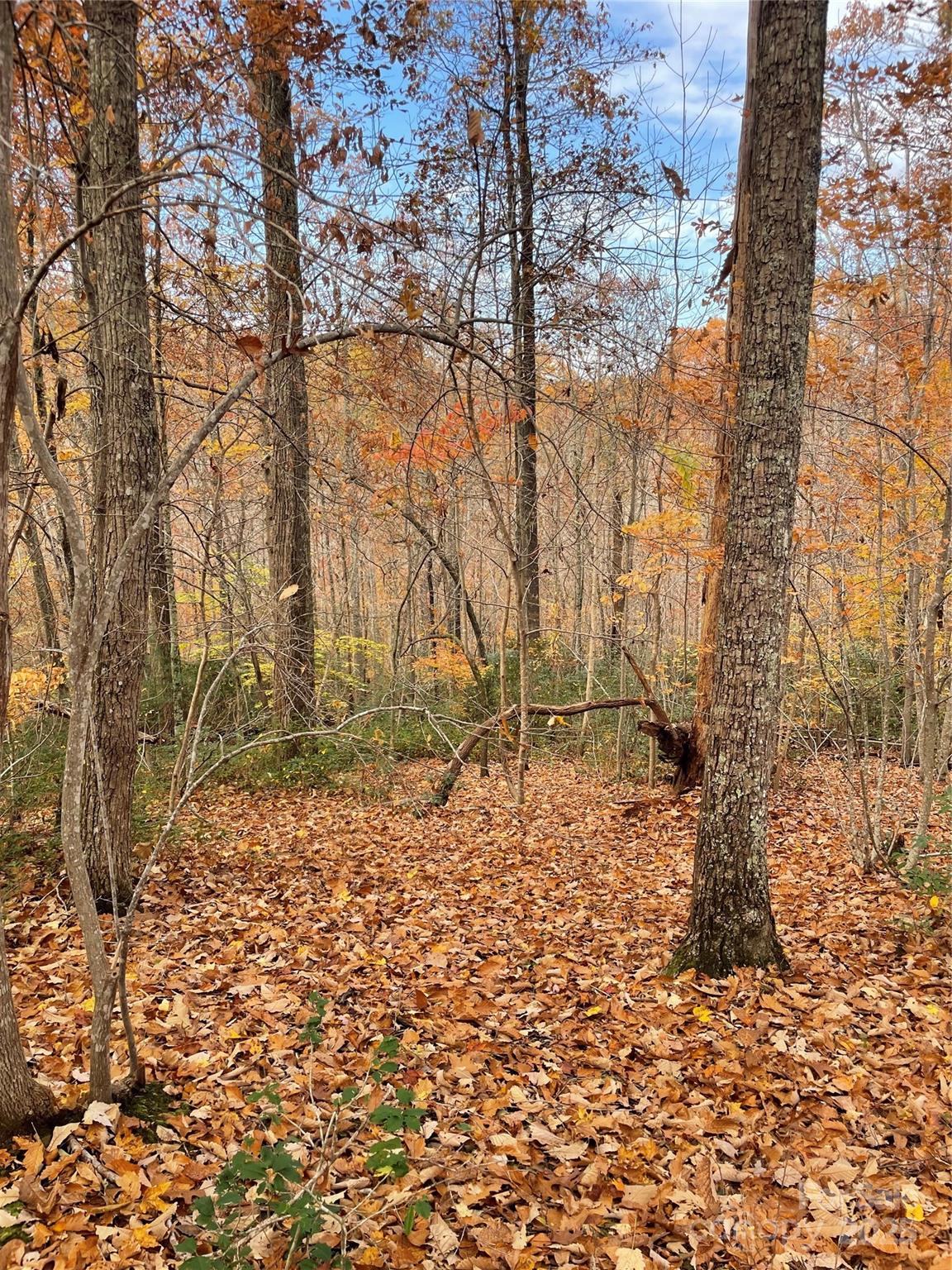 V/l Lot 72 & 170 Black Lark Drive Marion NC 28752