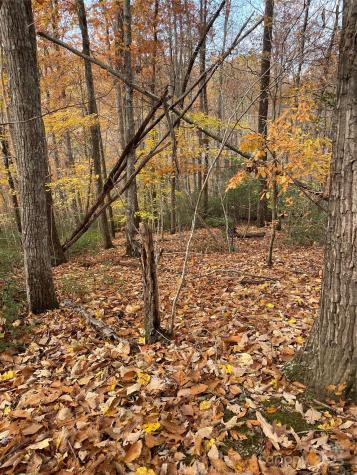 V/l Lot 72 & 170 Black Lark Drive Marion NC 28752